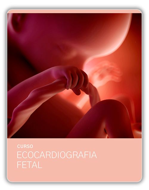 CM US ECOF - Curso Ecocardiografia Fetal