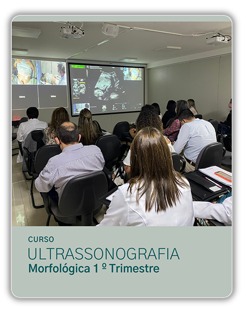 CM US MOR1 - Curso Ultrassonografia Morfológica 1º Trimestre